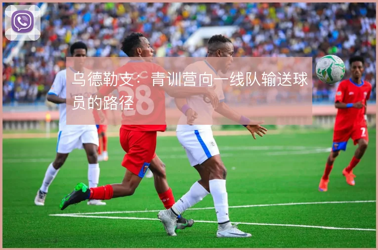 乌德勒支:青训营向一线队输送球员的路径
