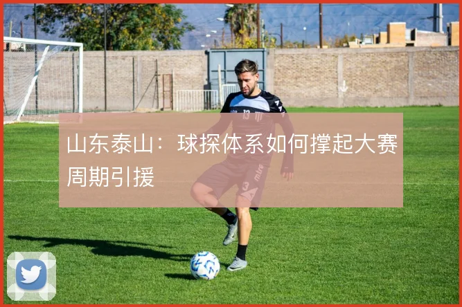 山东泰山:球探体系如何撑起大赛周期引援